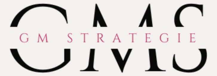 Formation professionnelle Bilan de compétences Accompagnement VAE GM Stratégie